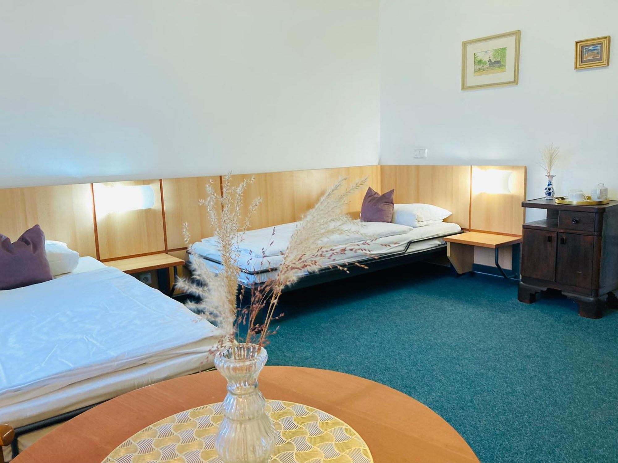 Penzion Hotelu Central Dvur Kralove nad Labem Exterior photo
